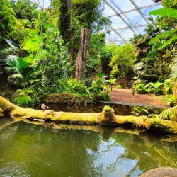 Leipzig Zoo - Leipzig