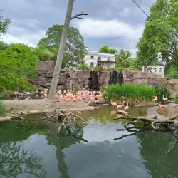 Leipzig Zoo - Leipzig