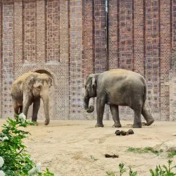 Leipzig Zoo - Leipzig