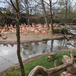 Leipzig Zoo - Leipzig