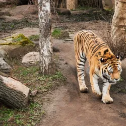 Leipzig Zoo - Leipzig