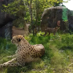 Leipzig Zoo - Leipzig