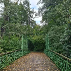 Bayer Cross - Leverkusen