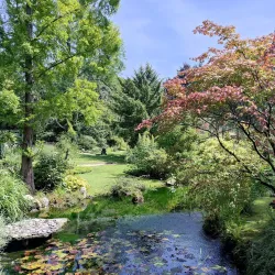 Japanese Garden Leverkusen - Leverkusen