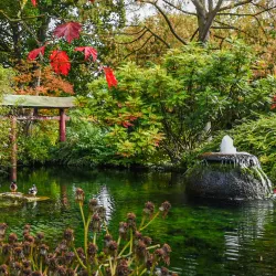 Japanese Garden Leverkusen - Leverkusen