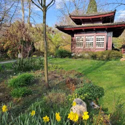 Japanese Garden Leverkusen - Leverkusen