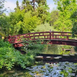 Japanese Garden Leverkusen - Leverkusen