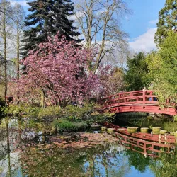 Japanese Garden Leverkusen - Leverkusen