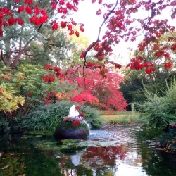 Japanese Garden Leverkusen - Leverkusen