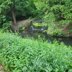 Museum Morsbroich - Leverkusen