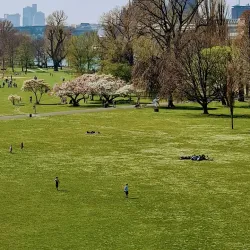 Rheinpark - Leverkusen