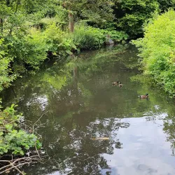 Schloss Morsbroich - Leverkusen