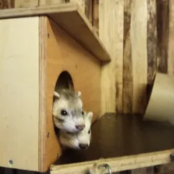 Wildpark Reuschenberg - Leverkusen