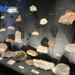 German Saltworks Museum (Deutsches Salzmuseum) - Lüneburg