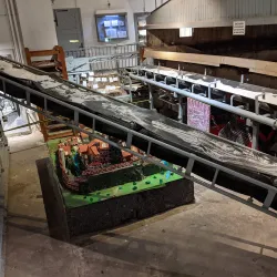 German Saltworks Museum (Deutsches Salzmuseum) - Lüneburg