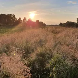 Ilmenau River - Lüneburg
