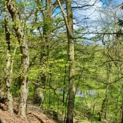 Ilmenau River - Lüneburg