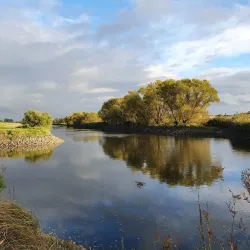 Ilmenau River - Lüneburg