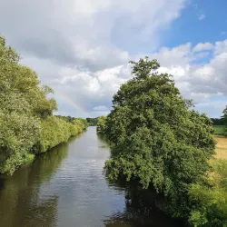 Ilmenau River - Lüneburg