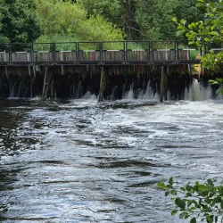 Ilmenau River - Lüneburg