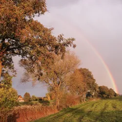 Ilmenau River - Lüneburg