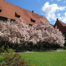 Lüneburg Town Hall (Rathaus) - Lüneburg
