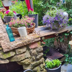 BASF Garden (BASF Garten) - Ludwigshafen