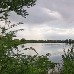 BASF Garden (BASF Garten) - Ludwigshafen