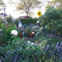 BASF Garden (BASF Garten) - Ludwigshafen