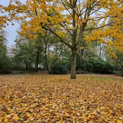 Ebertpark - Ludwigshafen