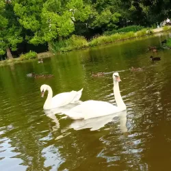 Ebertpark - Ludwigshafen