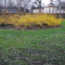 Ebertpark - Ludwigshafen