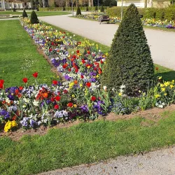 Ebertpark - Ludwigshafen