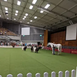 Friedrich-Ebert-Halle - Ludwigshafen