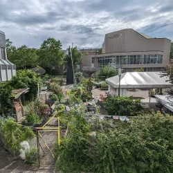 Ludwigshafen City Museum (Stadtmuseum Ludwigshafen) - Ludwigshafen