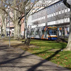 Rheinuferpromenade - Ludwigshafen