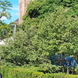 St. Ludwig Church - Ludwigshafen