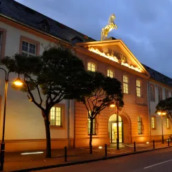 Mainz State Museum (Landesmuseum Mainz) - Mainz