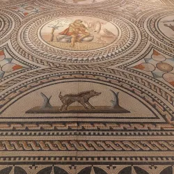 Mainz State Museum (Landesmuseum Mainz) - Mainz