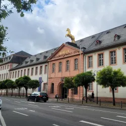 Mainz State Museum (Landesmuseum Mainz) - Mainz