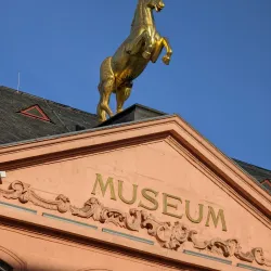 Mainz State Museum (Landesmuseum Mainz) - Mainz