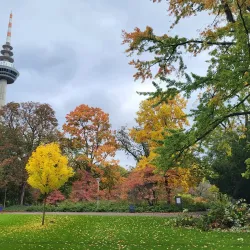 Luisenpark - Mannheim