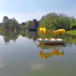 Luisenpark - Mannheim