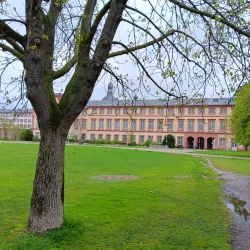 Mannheim Palace (Schloss Mannheim) - Mannheim