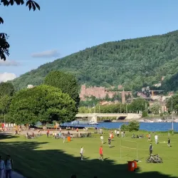 Neckarwiese - Mannheim