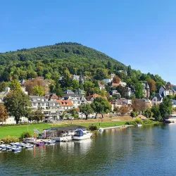 Neckarwiese - Mannheim