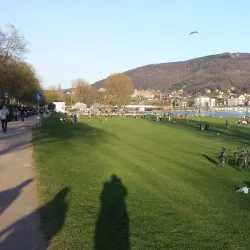 Neckarwiese - Mannheim