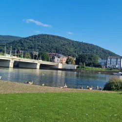 Neckarwiese - Mannheim