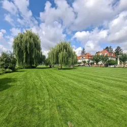 Neckarwiese - Mannheim