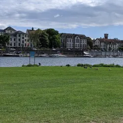 Neckarwiese - Mannheim